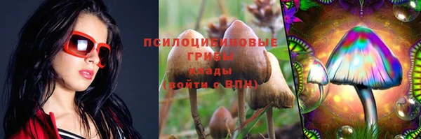 сатива Баксан