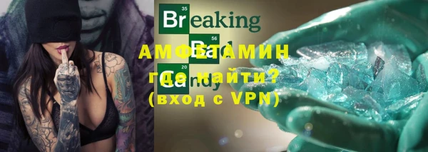 сатива Баксан