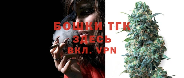 сатива Баксан